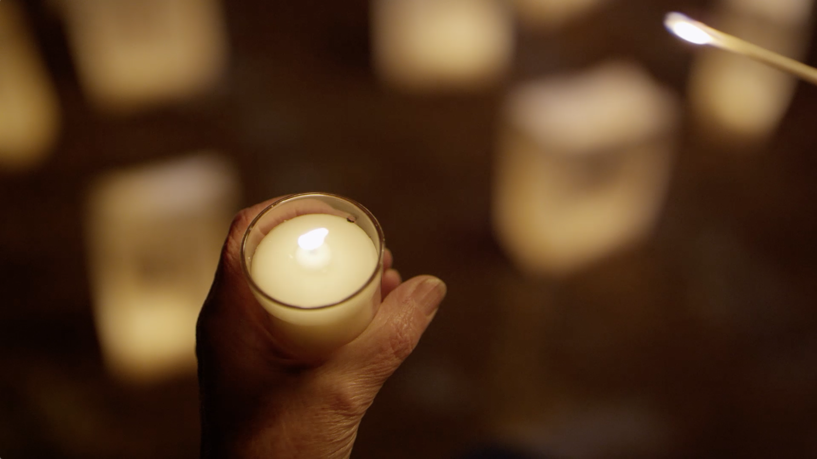 Société Canadienne Du Cancer Relais Pour La Vie Post Moderne